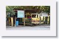 The train (burra) that once transported bananas now transports tourists from La Union to Cuero y Salado Wildlife Refuge