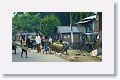 Its a 4 hour drive from Guwahati to Manas National Park