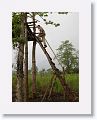 A makeshift observation tower