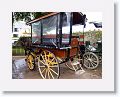 Jaunting Cars are horse-drawn carriages that take us on a tour of the forested hills of Killarney National Park