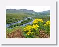 Driving the Ring of Kerry which traces the coastline of the Iveragh Peninsula