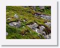 Ring of Kerry