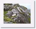Ring of Kerry