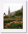 Tralee Rose Garden