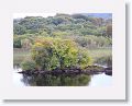 Lough Leane