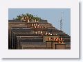 Chimney pots top roof tops each higher than the next as they rise with the landscape