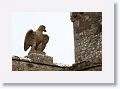 Cahir Castle