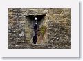 Cahir Castle