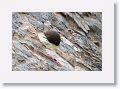 Embedded cannon ball high on the wall