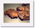 Bog bodies, National Archeology Museum, Dublin