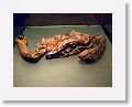 Bog bodies, National Archeology Museum, Dublin