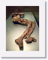 Bog bodies, National Archeology Museum, Dublin