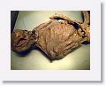 Bog bodies, National Archeology Museum, Dublin