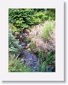 Avoca Handweavers