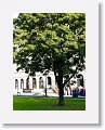 Trinity College, Dublin