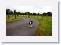 Paddy, a 6 month old sheepdog in training