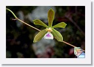 June * (124 Slides)