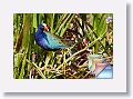 March * (66 Slides)
