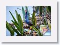 January * (44 Slides)