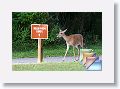 stateParkCamping * (106 Slides)