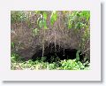 Nevis-027
