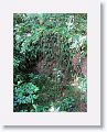 Nevis-030
