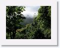 Nevis-058