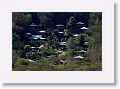 Guadeloupe-004