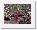 Guadeloupe-016
