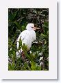 Guadeloupe-021