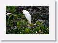 Guadeloupe-023