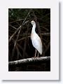 Guadeloupe-027