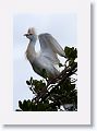 Guadeloupe-032