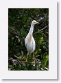 Guadeloupe-034