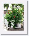 StMaarten-002