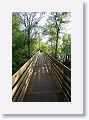 Boardwalk