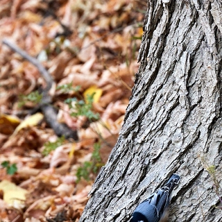Walking-088