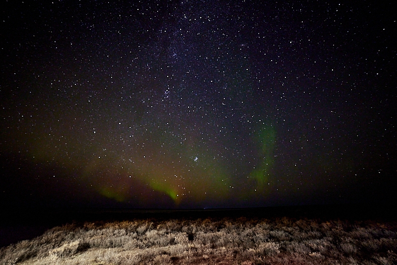 Aurora-013