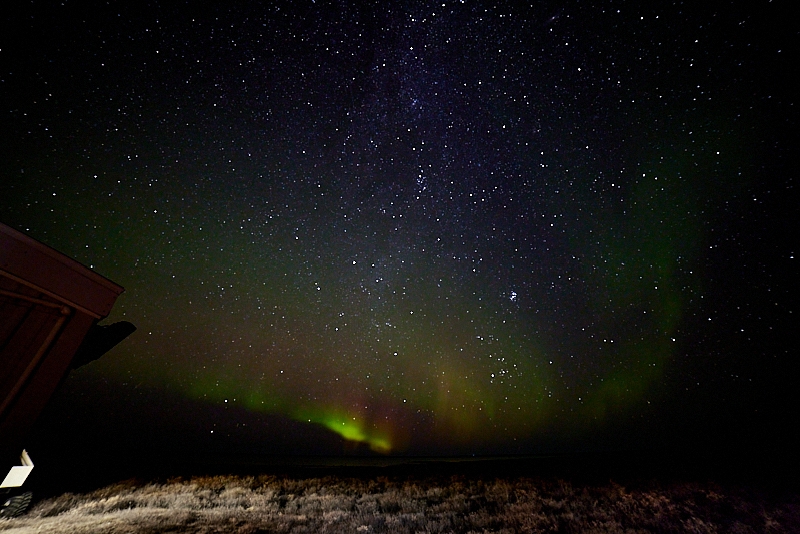 Aurora-016