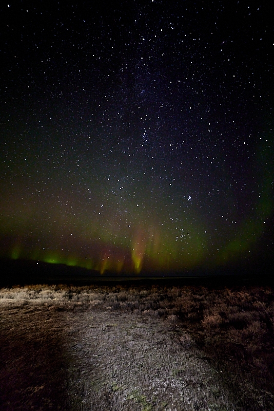 Aurora-017