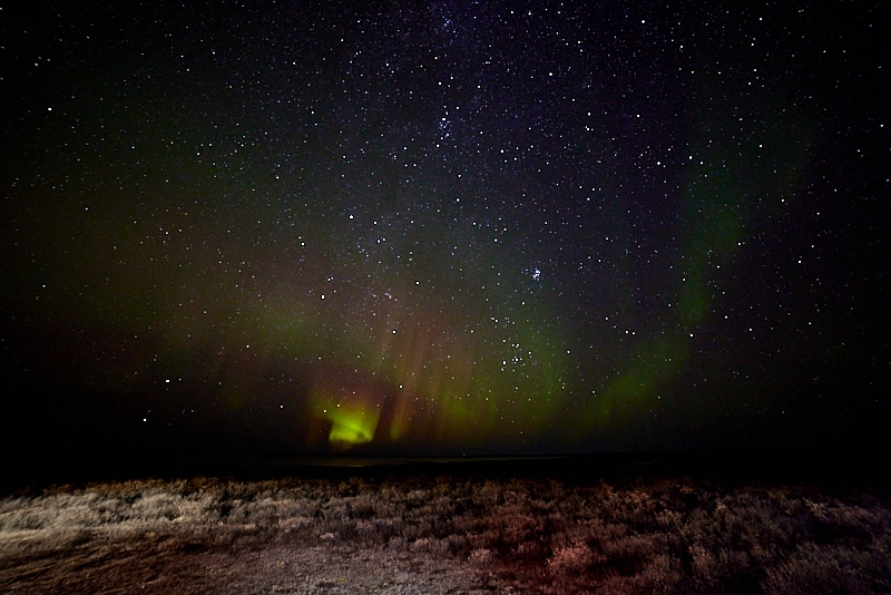 Aurora-018