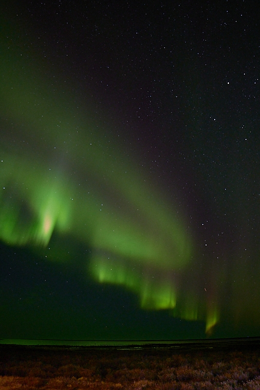 Aurora-030