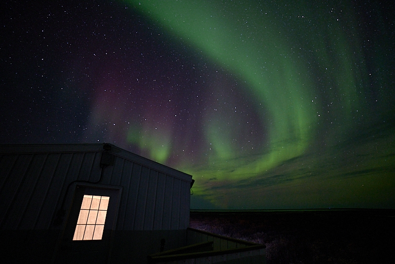Aurora-039