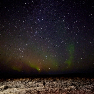 Aurora-013