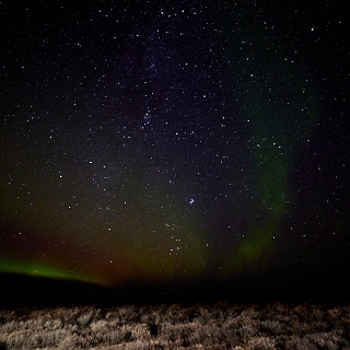 Aurora-014