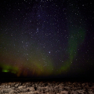 Aurora-015
