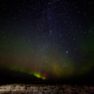 Aurora-016