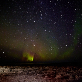 Aurora-019