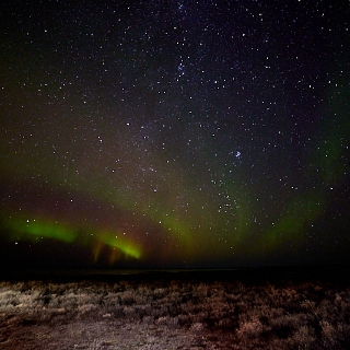 Aurora-021