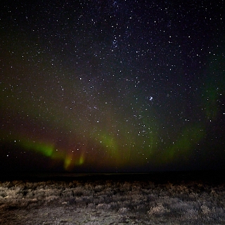 Aurora-022